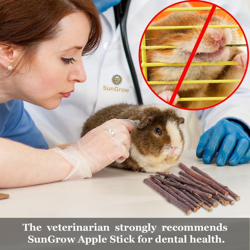 SunGrow Apple Sticks, Wood Chew Sticks for Rabbits, Chinchillas, Bunny, Hamster, Squirrel, Guinea Pigs, Small Animals Molar Pet Chew Toys Treat for Teeth Grinding 200g (7 oz) - Image 5